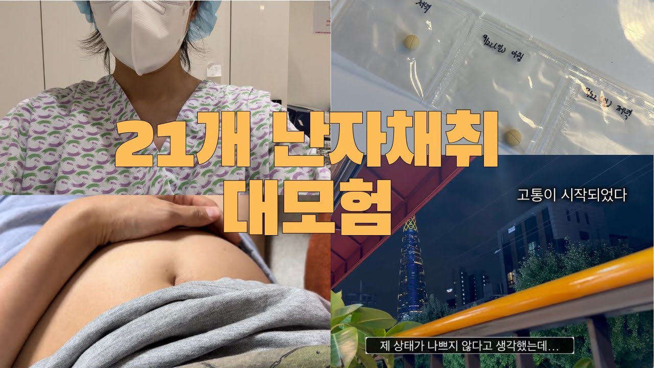 [시험관vlog] 난자채취 기록, 복수는 나의 것, 난소과자극증후군