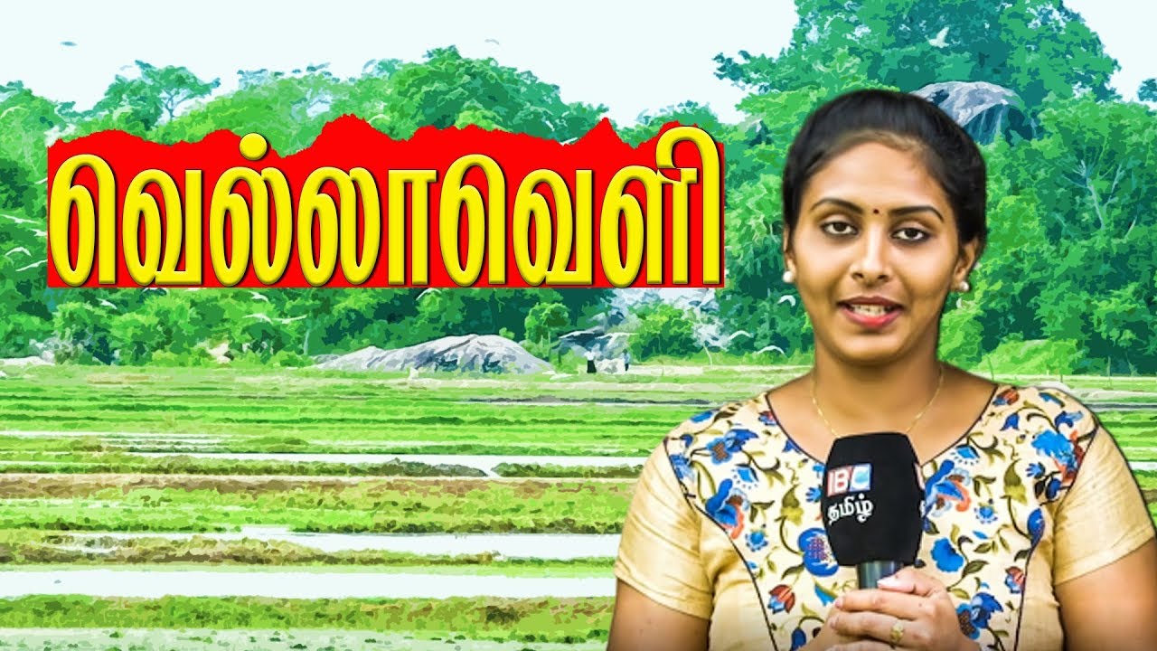 தமிழர் இருப்பின் இன்னுமொரு ஆதாரம் | வெல்லாவெளி | மட்டக்களப்பு  | Vellaveli | Vanakam Thainadu.