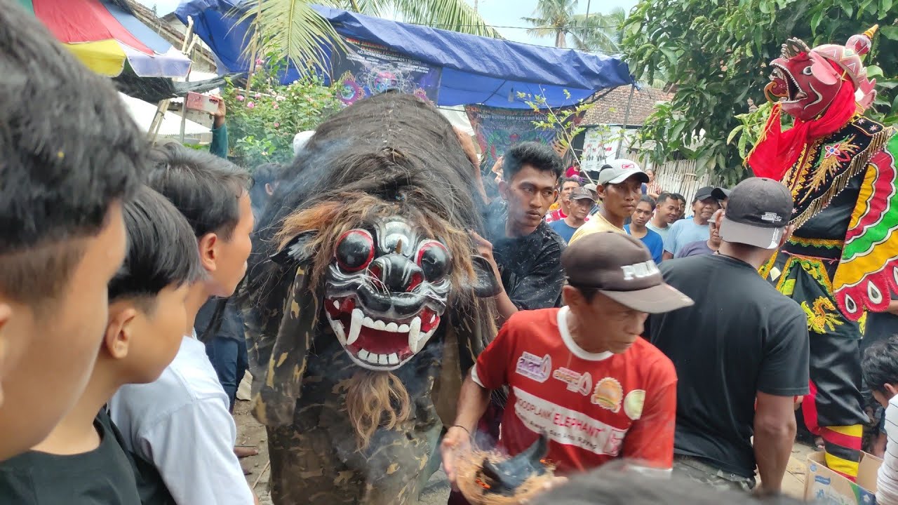 Macan macanane Jaranan pecari kuning live kampung anyar licin 