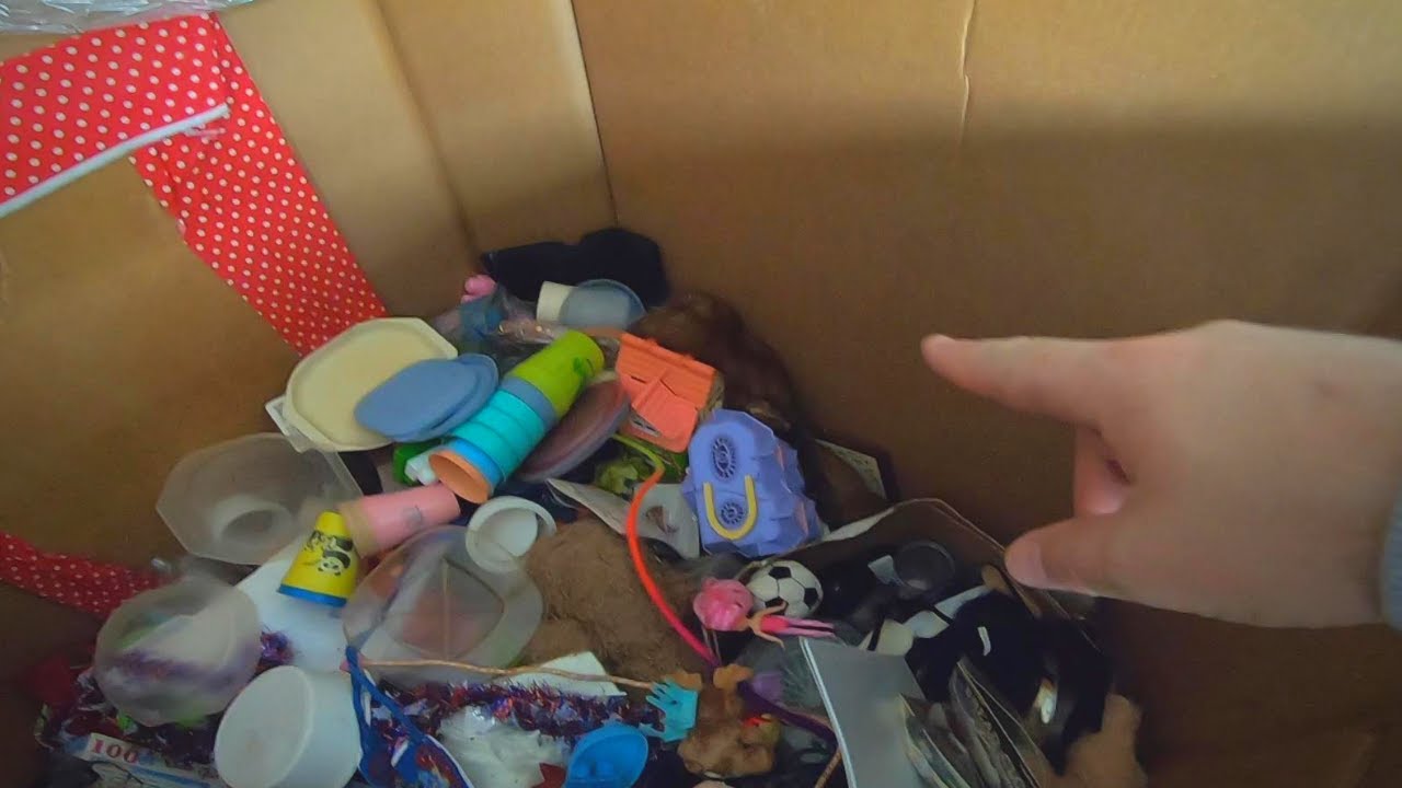 My Wife Found LIVE ANIMALS In This $25 Goodwill Mystery Pallet!