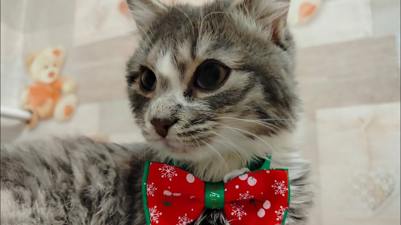 Распаковка бумажных сюрпризов ✨❤🌷
