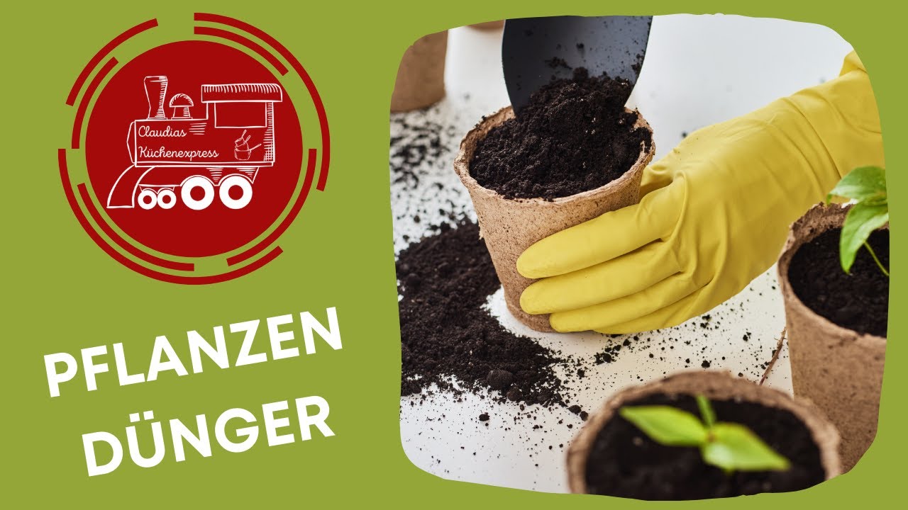 🍅 PFLANZEND&Uuml;NGER selber machen ... Thermomix&reg; TM6,TM5, TM31