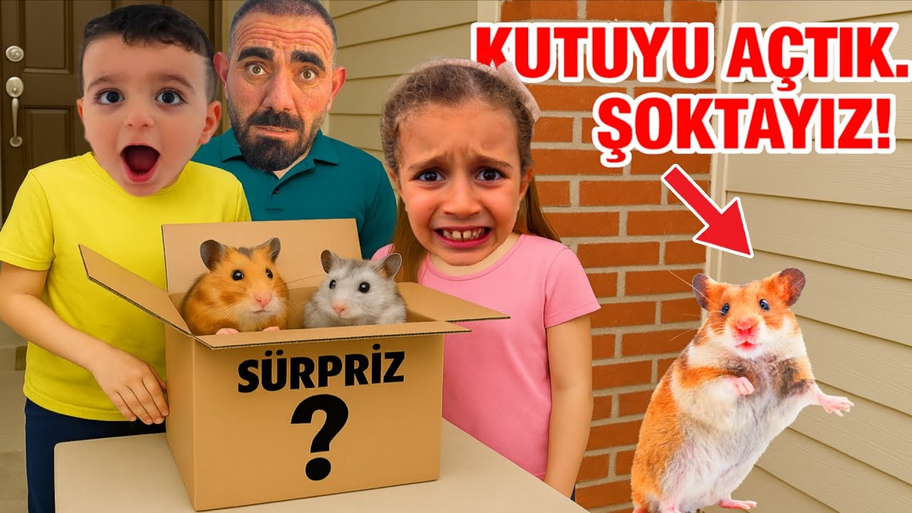 POYRAZ ELİF SÜRPRİZ KUTUYU AÇTI!!İÇİNDEN ÇIKANLAR ŞOK YARATTI!!
