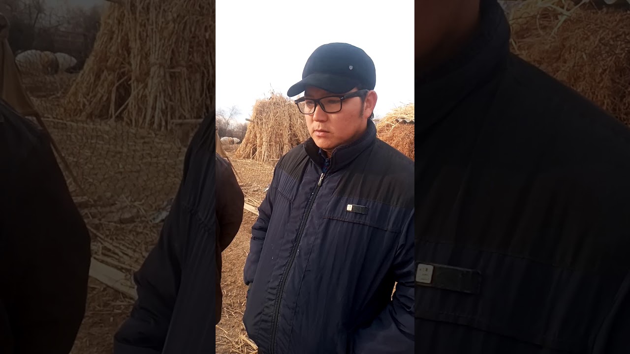 Бозатаў районы турғанларынан мүрәжат