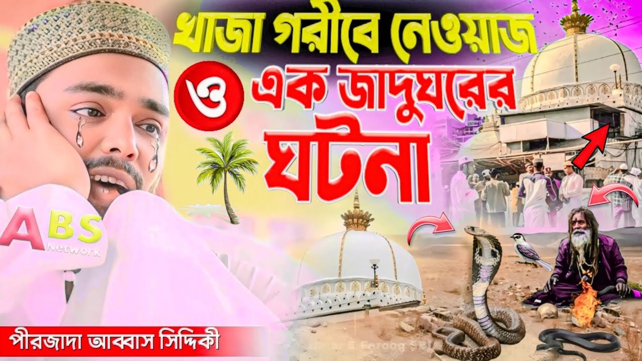 খাজা গরীবে নেওয়াজ ও এক জাদুগরের ঘটনা। পীরজাদা আব্বাস সিদ্দিকী ওয়াজ। Pirzada Abbas Siddiqui Jalsa