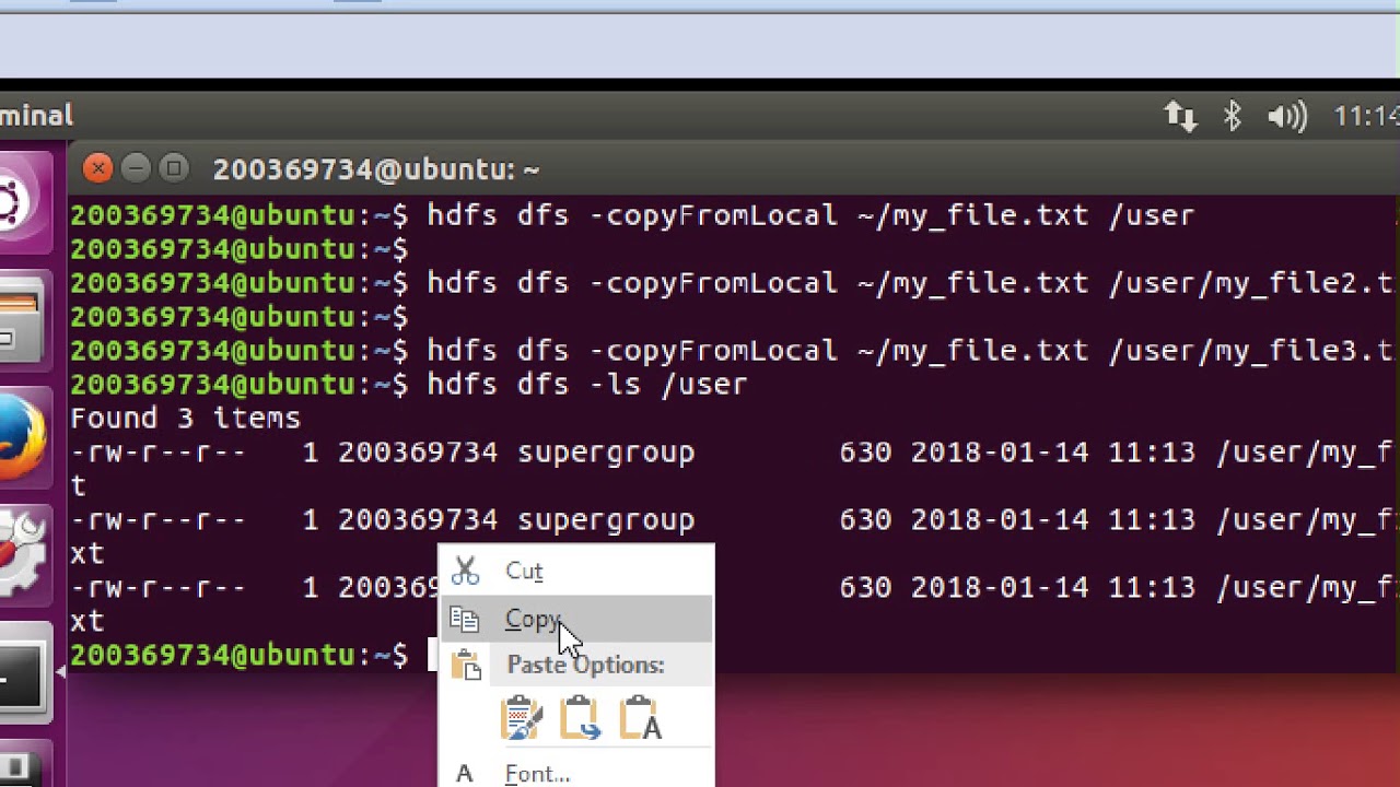 Testing HDFS and word-count map-reduce on a multinode Hadoop Cluster.