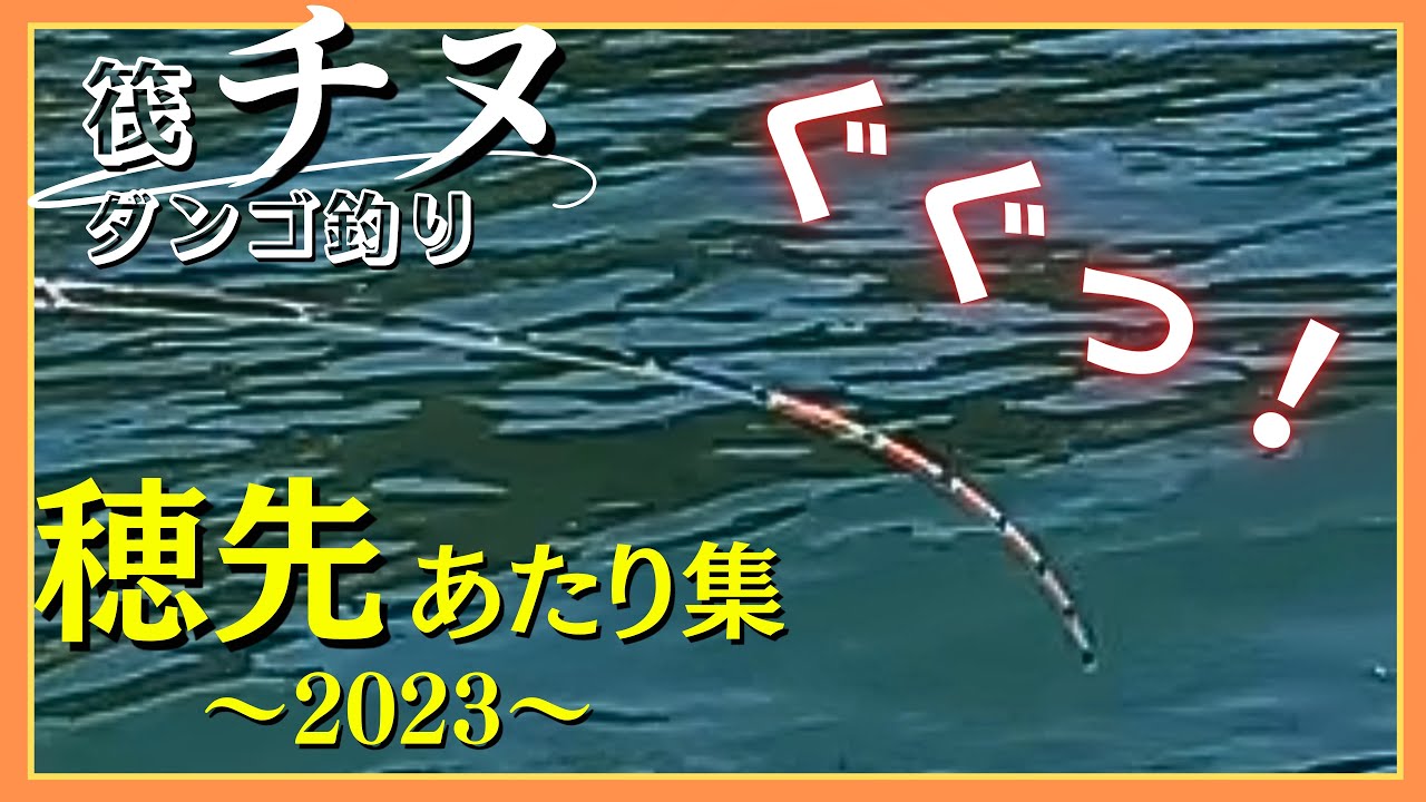 【チヌ筏・かかり釣り】拡大映像あり！チヌダンゴ釣り！！〜穂先あたり集〜   2023ver.
