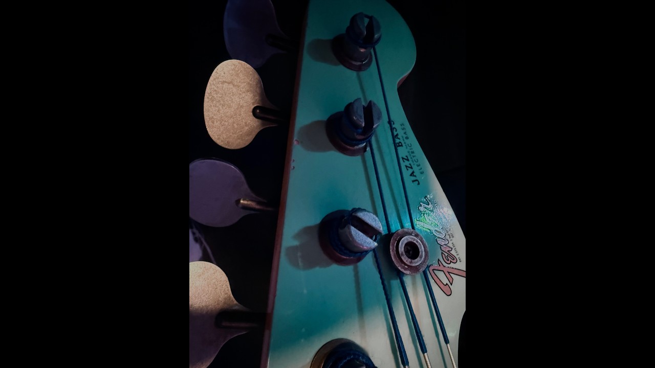 Disco Inferno Bass Cover