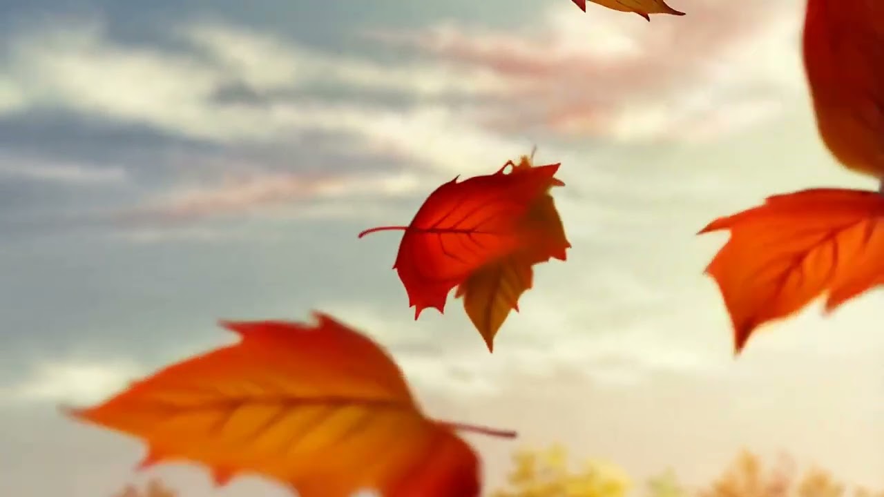 Lofi Breeze Through Leaves 🍂 Anime Chillhop