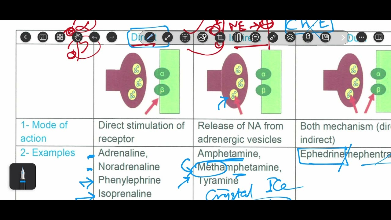 3. Sympathomimetics #1