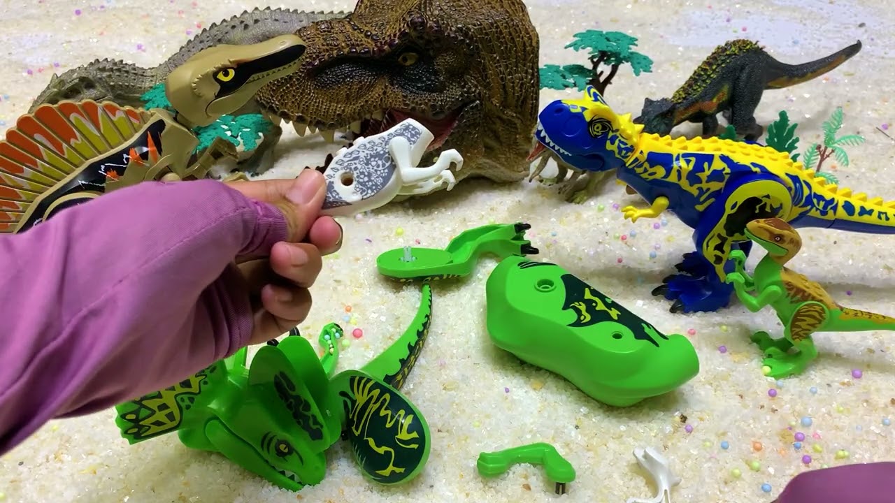 Banyak Fosil Dinosaurus! Ayo Kita Rakit Teman-Teman