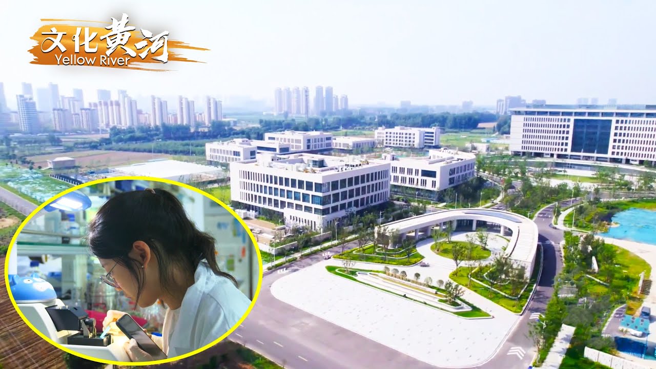 第76集：揭秘神农种业实验室的农业“芯”动力，探索新乡农业种业的崛起之路——在水一方 活力新乡 【天下黄河】| 文化黄河 Yellow River