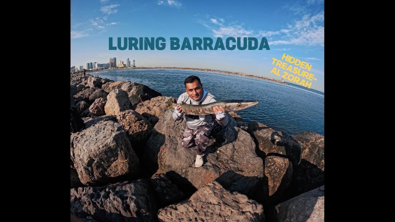 AL Zorah !!!!!! The hidden Treasure of Barracuda , King Fish & Trevally!!!Ajman Fishing| UAE Fishing