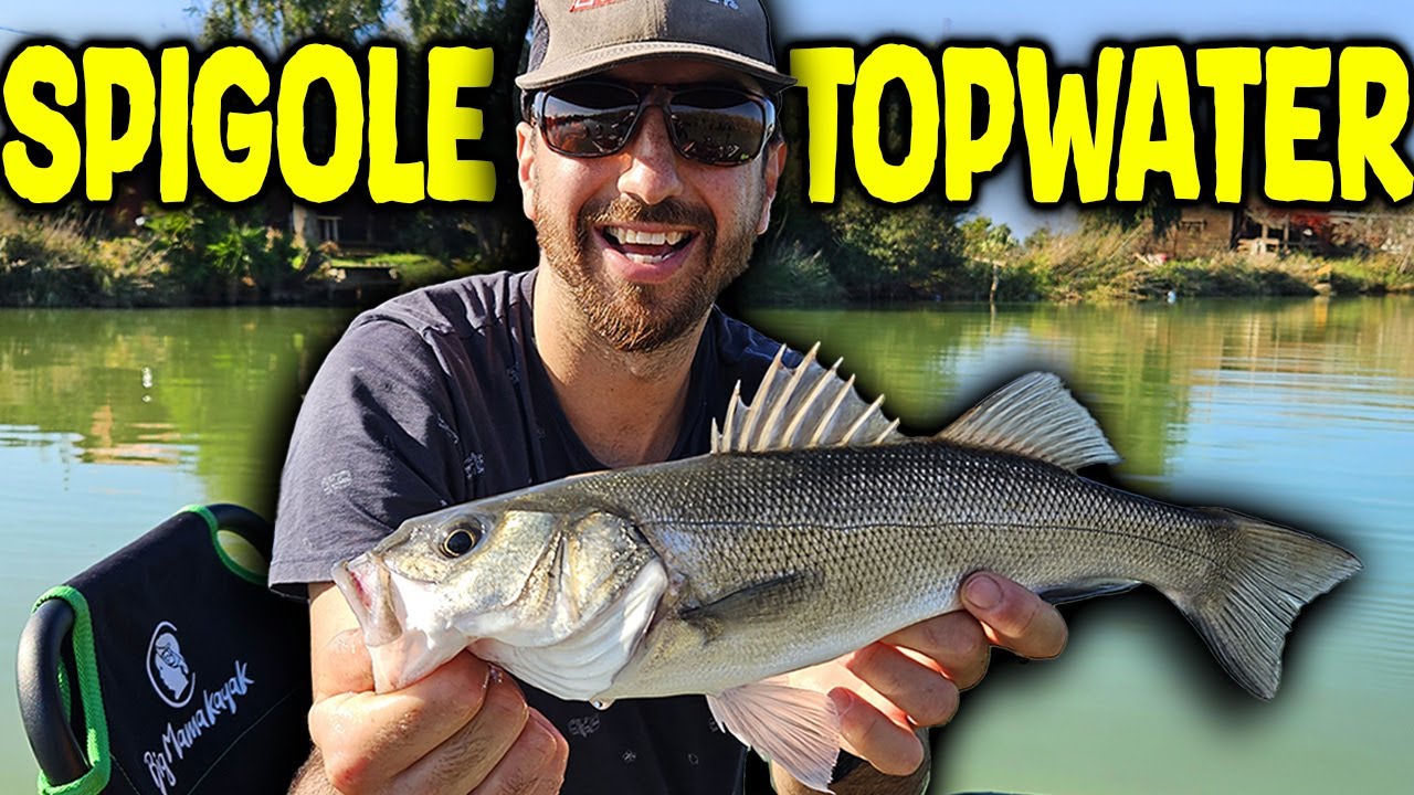 Spigole Topwater in FIUME con UN'ESCA FATTA IN CASA | Dalla Costruzione alla Cattura del Branzino