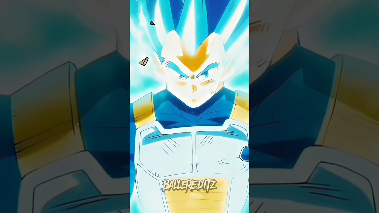 Goku vs Vegeta (All forms)