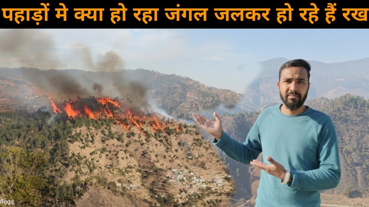 पहाड़ों में क्या हो रहा है? जंगल जलकर हो रहे हैं राख || Uttarakhand Forest Fire || Vivek Bisht Vlogs