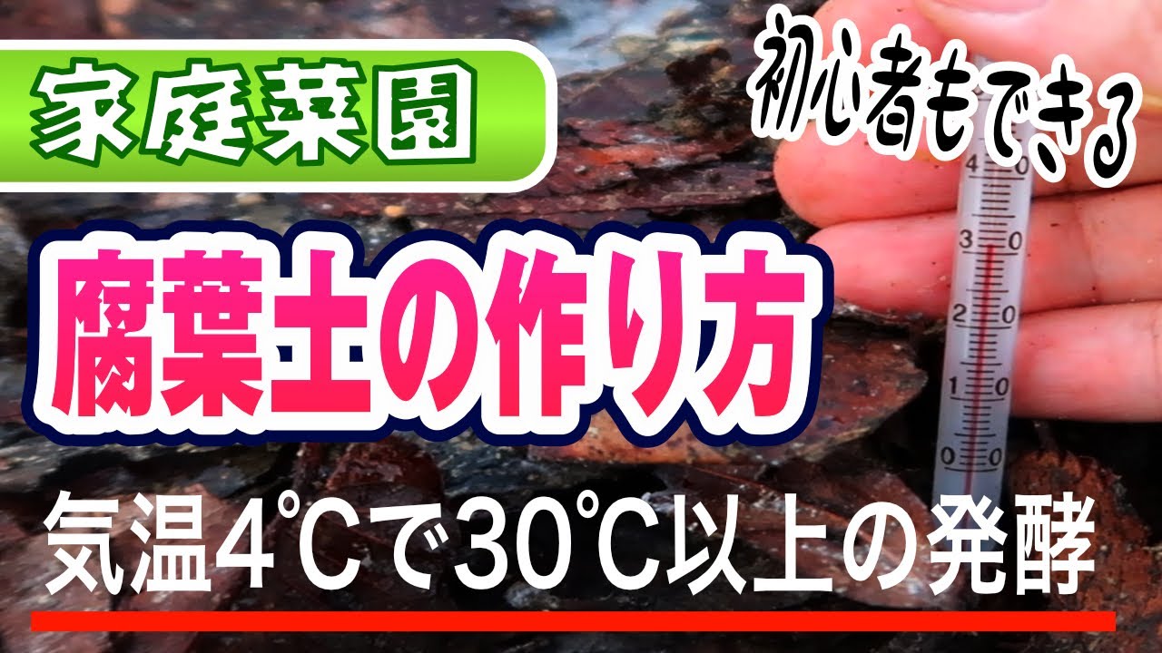 【簡単】腐葉土をはやく作るには？【家庭菜園】【作り方】【マルチング】【発酵】【米ぬか】