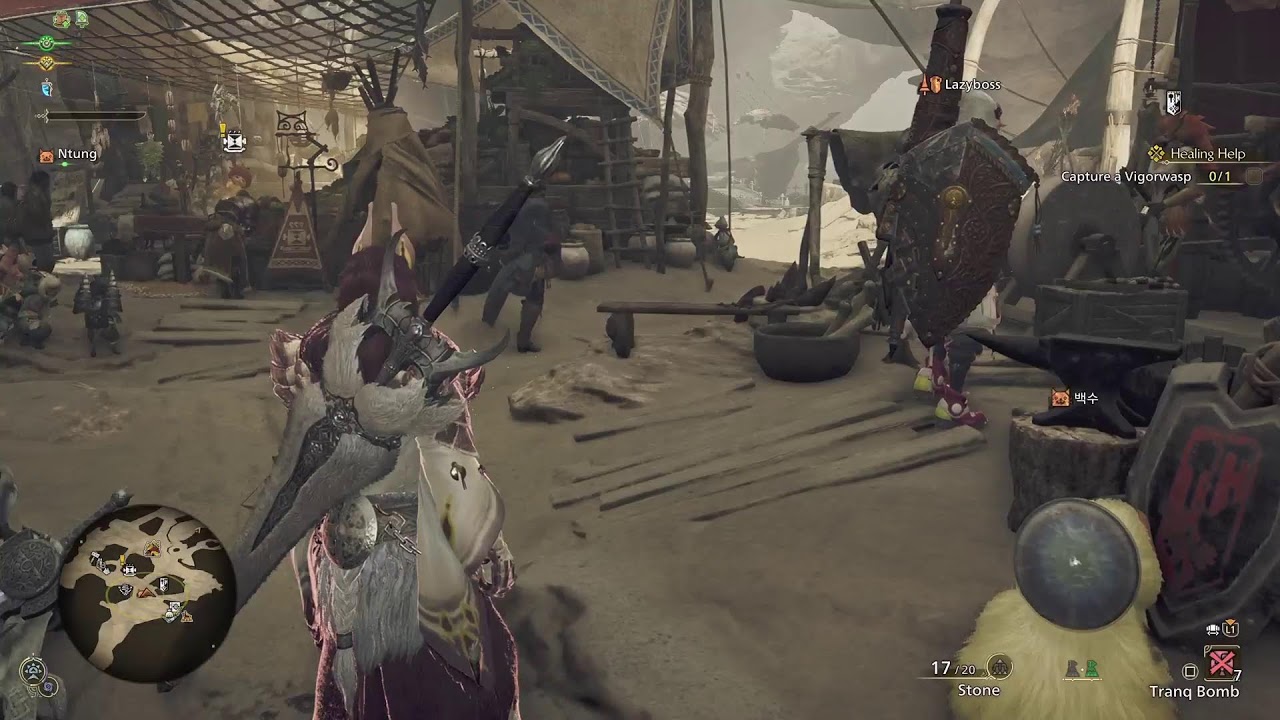 Monster Hunter Wilds #12