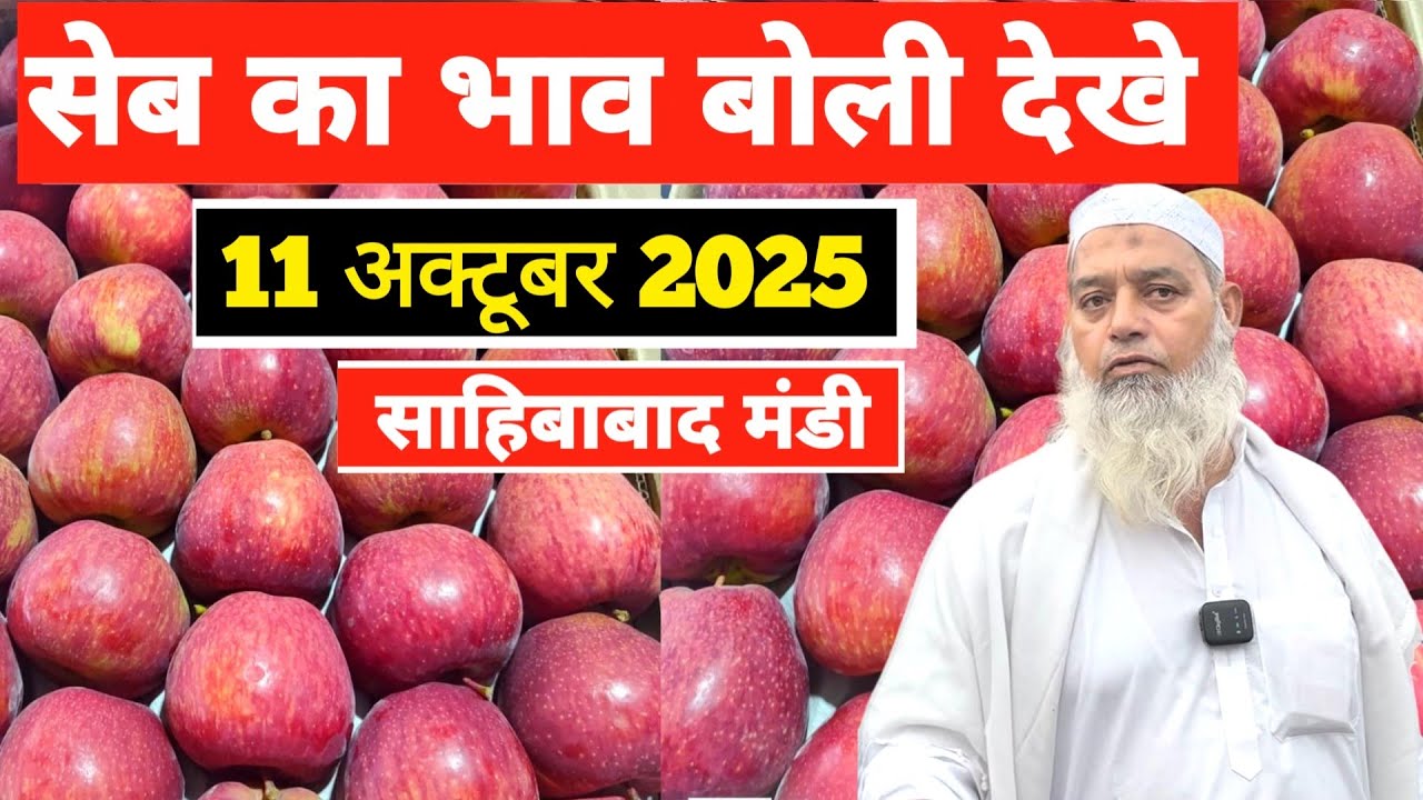 11 October 2025 🍎हर्षिल सेब की बोली देखे साहिबाबाद मंडी | today apple oction #apple #फ्रूट्स #fruit
