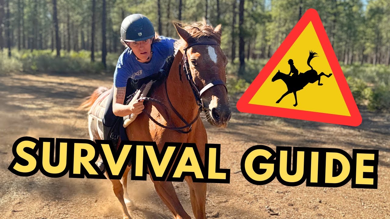 What To Do If Your Horse Spooks