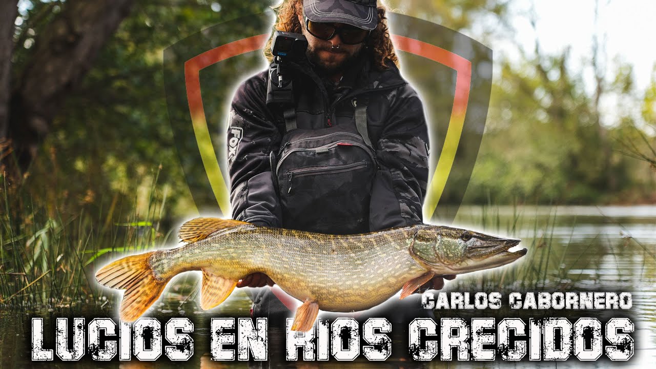 LUCIOS EN RÍOS CRECIDOS  ***FOX RAGE FISHING TV***