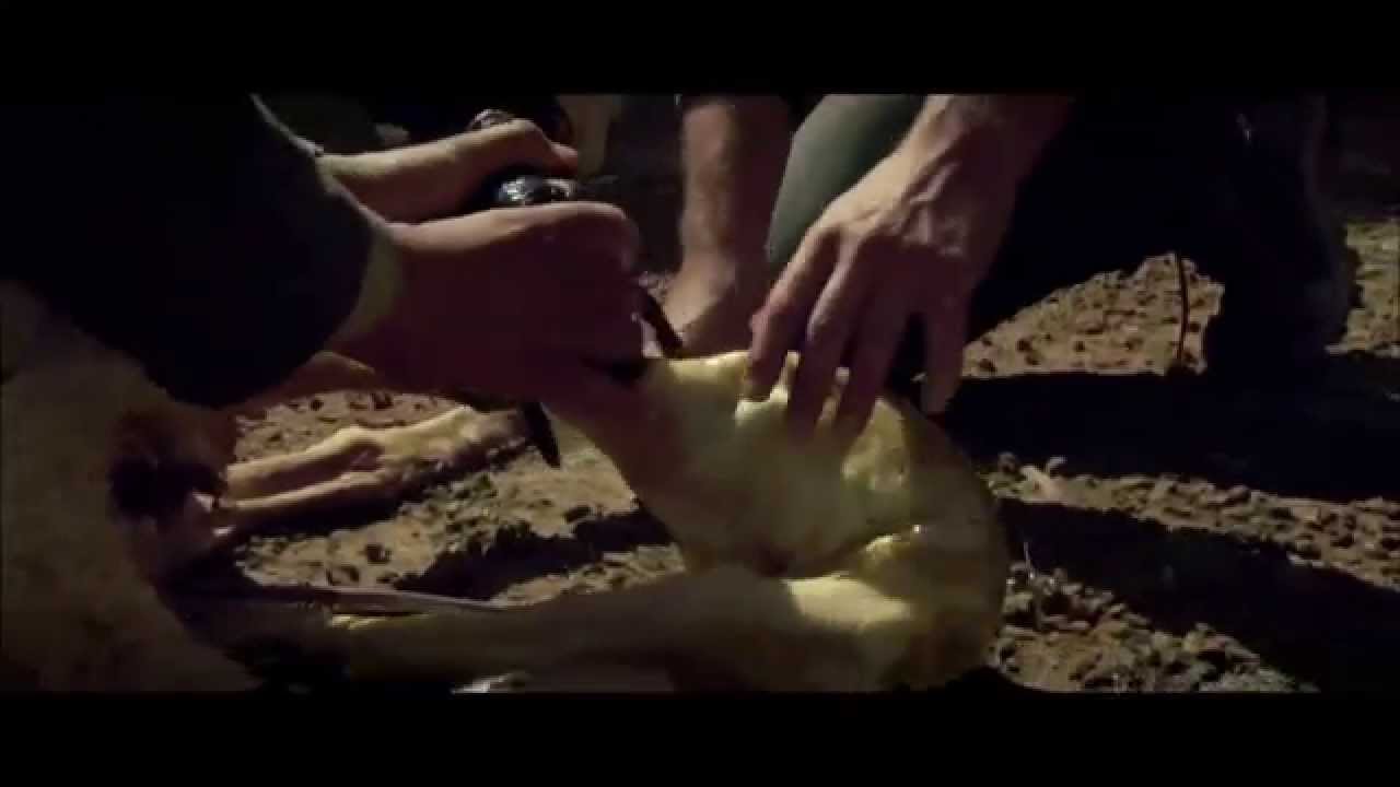 DEFINING LOVE youtube version