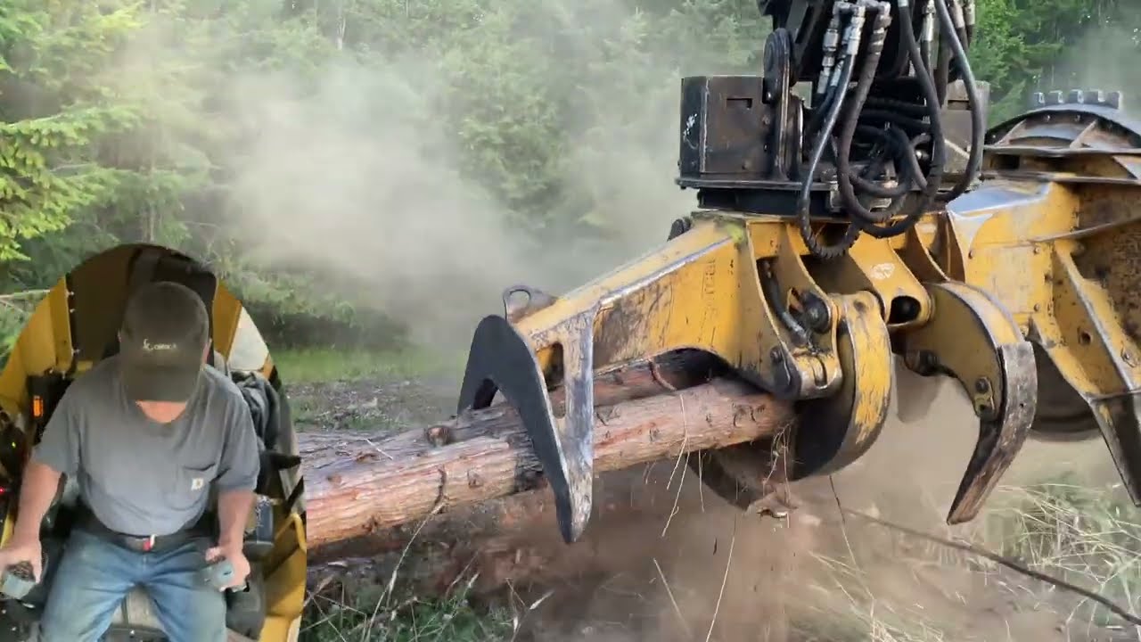 Feller Cutting Trees - Multi camera perspective