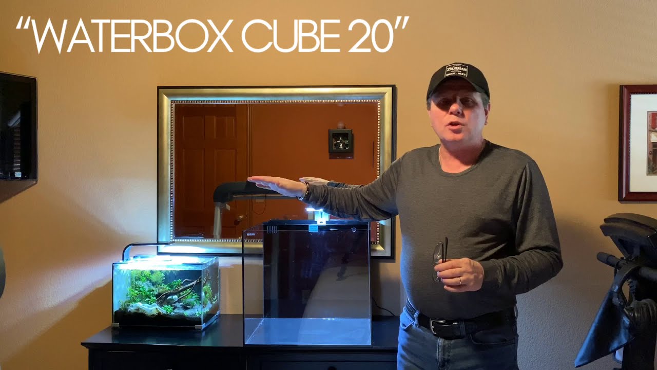 FULL REVIEW: WATERBOX CUBE 20 Starphire Ultra-Clear Glass