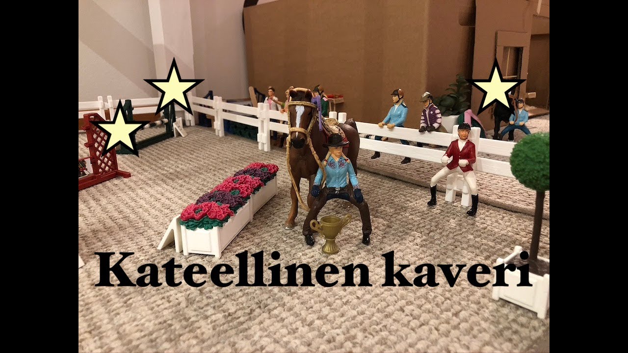 Kateellinen kaveri