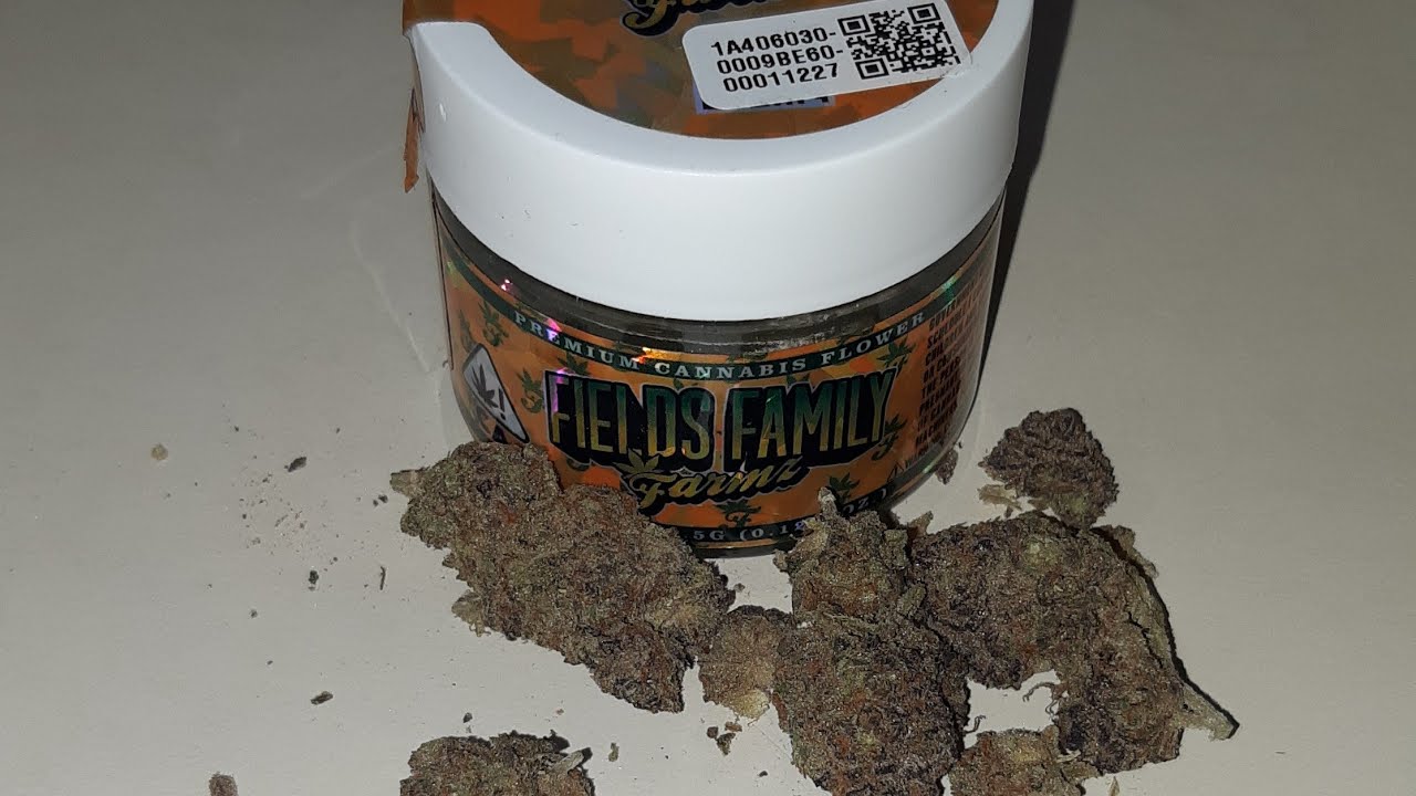 strain review fields family farmz  mimosa