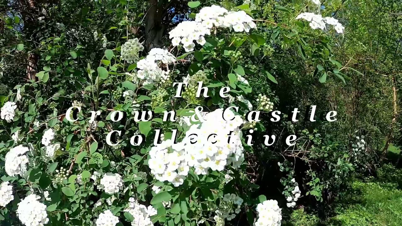 What Is Their BEEF With YOU?😡🪵🪓Tarot Pick a Pile Reading