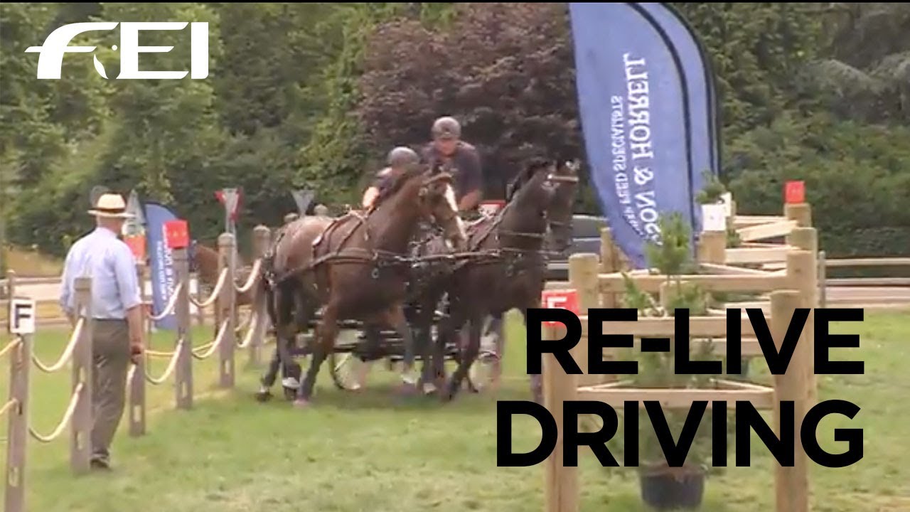 RE-LIVE - Driving Valkenswaard International 2017 - Marathon