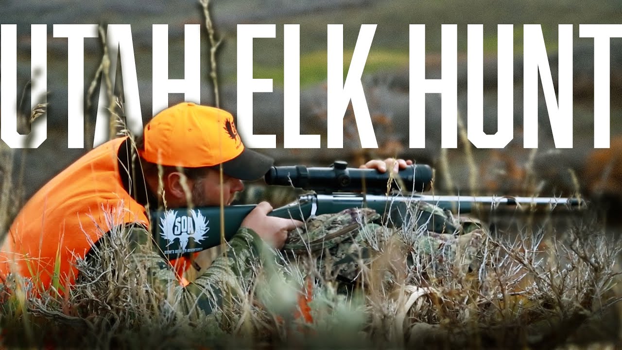 Utah Elk Hunt