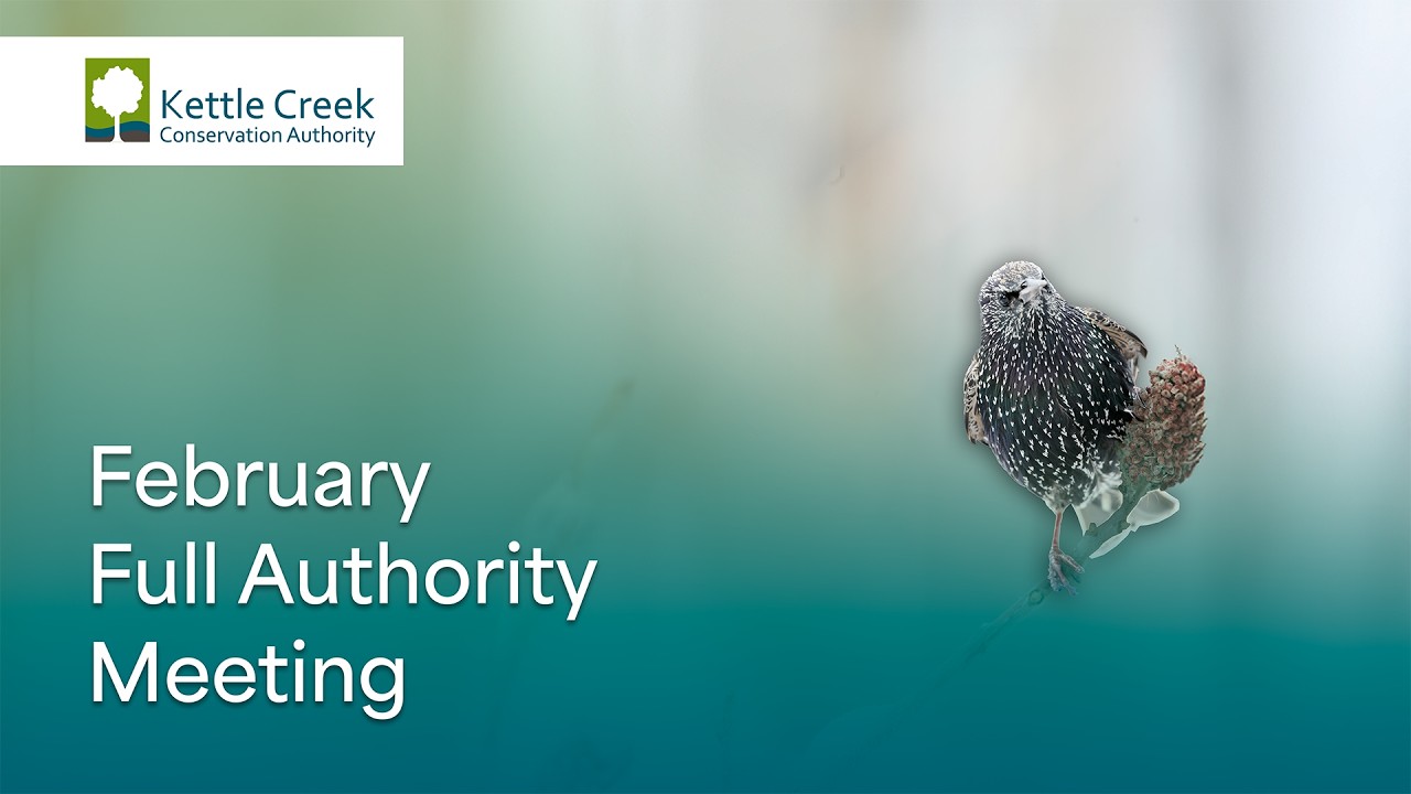February 11, 2026 Full Authority Meeting