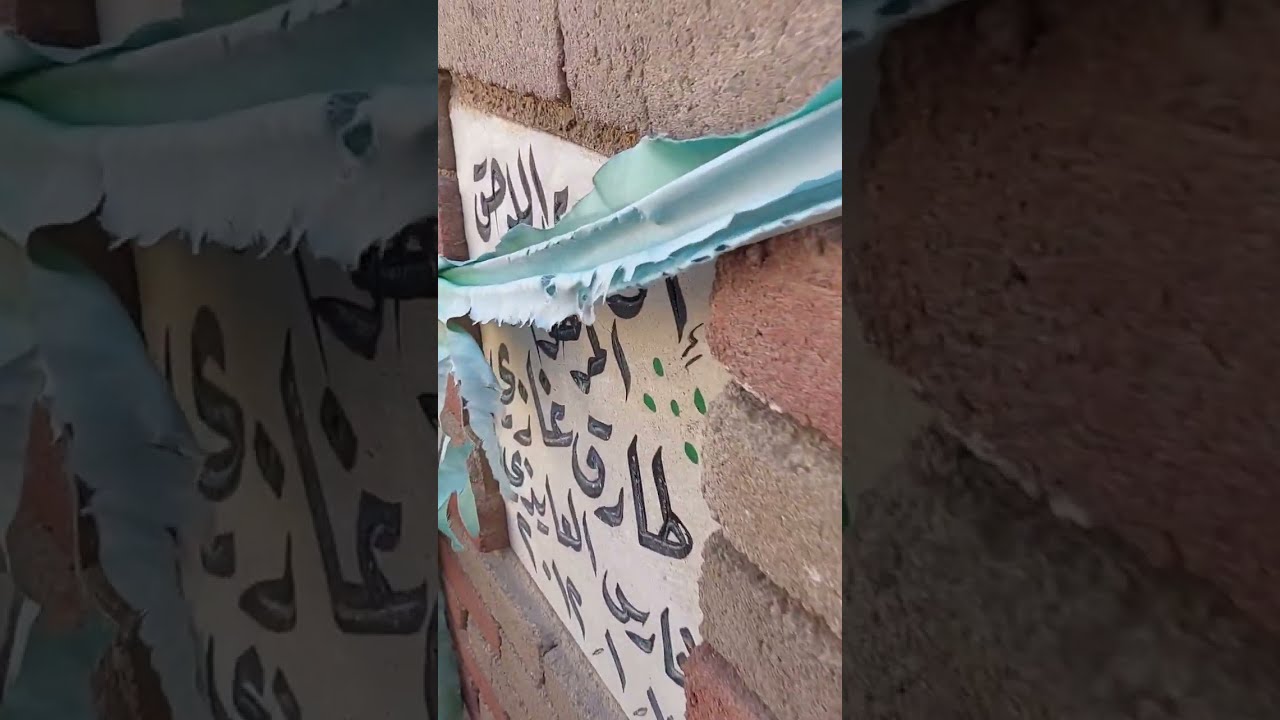 وادي السلام  الفتحه  الثالثه