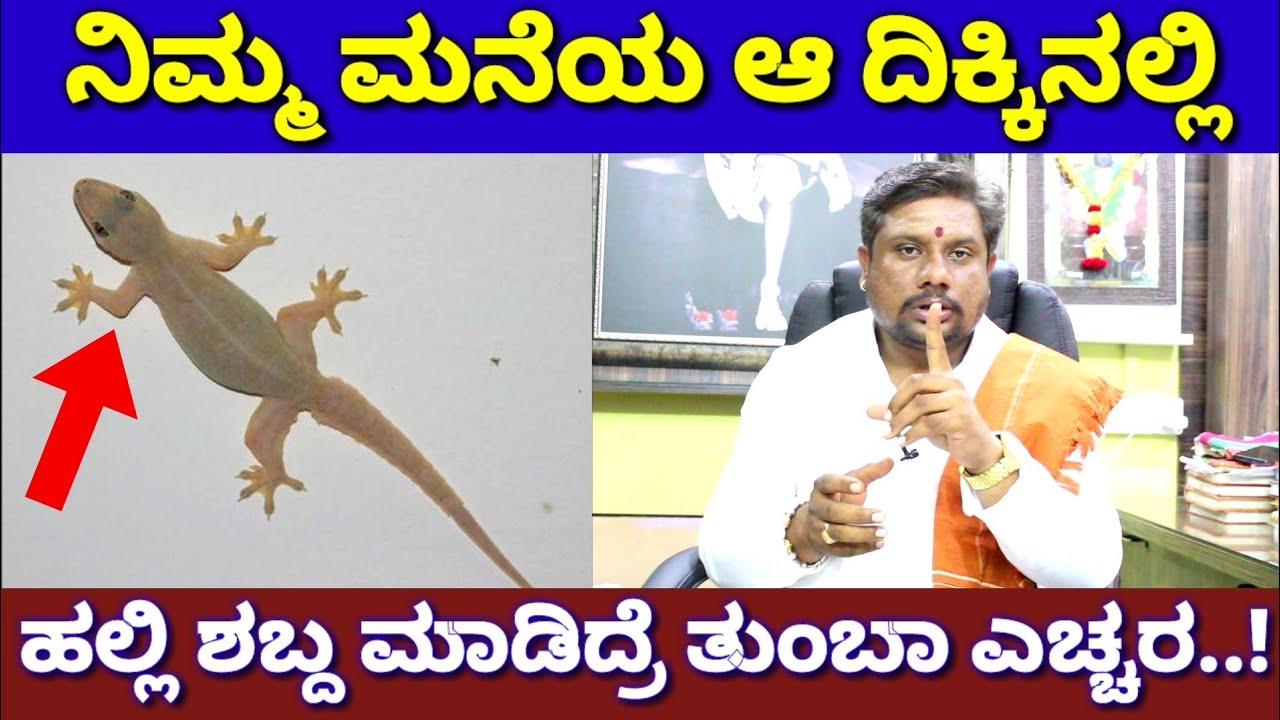 ದೇಹದ ಆ ಜಾಗದಲ್ಲಿ ಹಲ್ಲಿ ಬಿದ್ರೆ ಭಾರಿ ಅದೃಷ್ಟ | Lizard Kannada Astrology | Halli Dosha