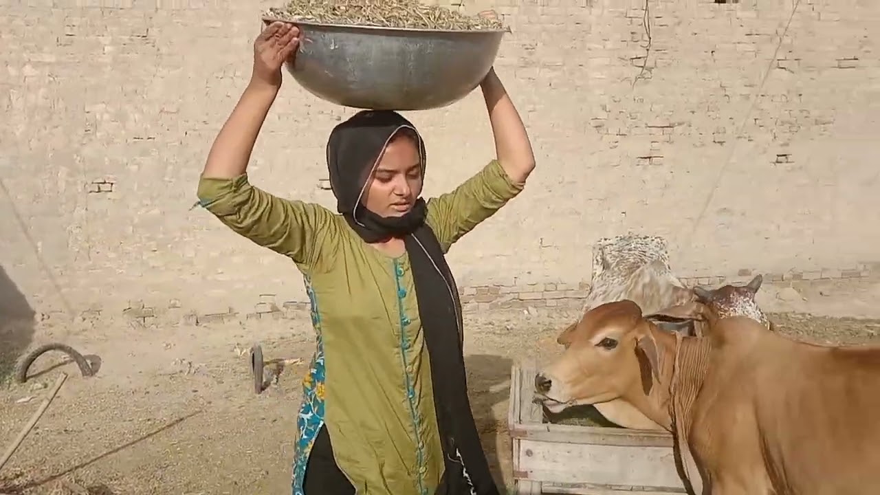 General Cleaning In Village ||Village Life Routine ||Raima Mariyam