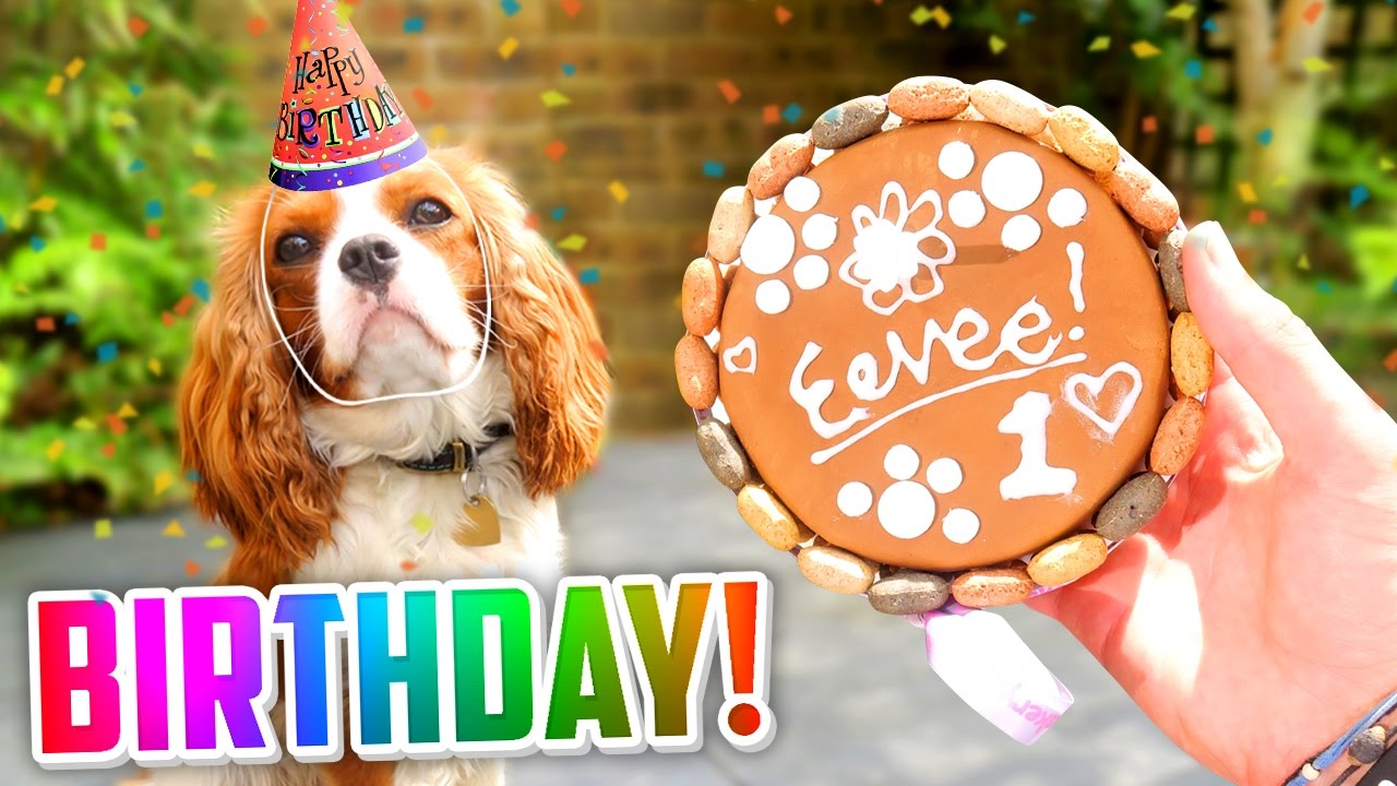 🐶 EEVEE'S 1st BIRTHDAY! (🎁 Presents, 🎂 Cake + 🎉 MORE!)