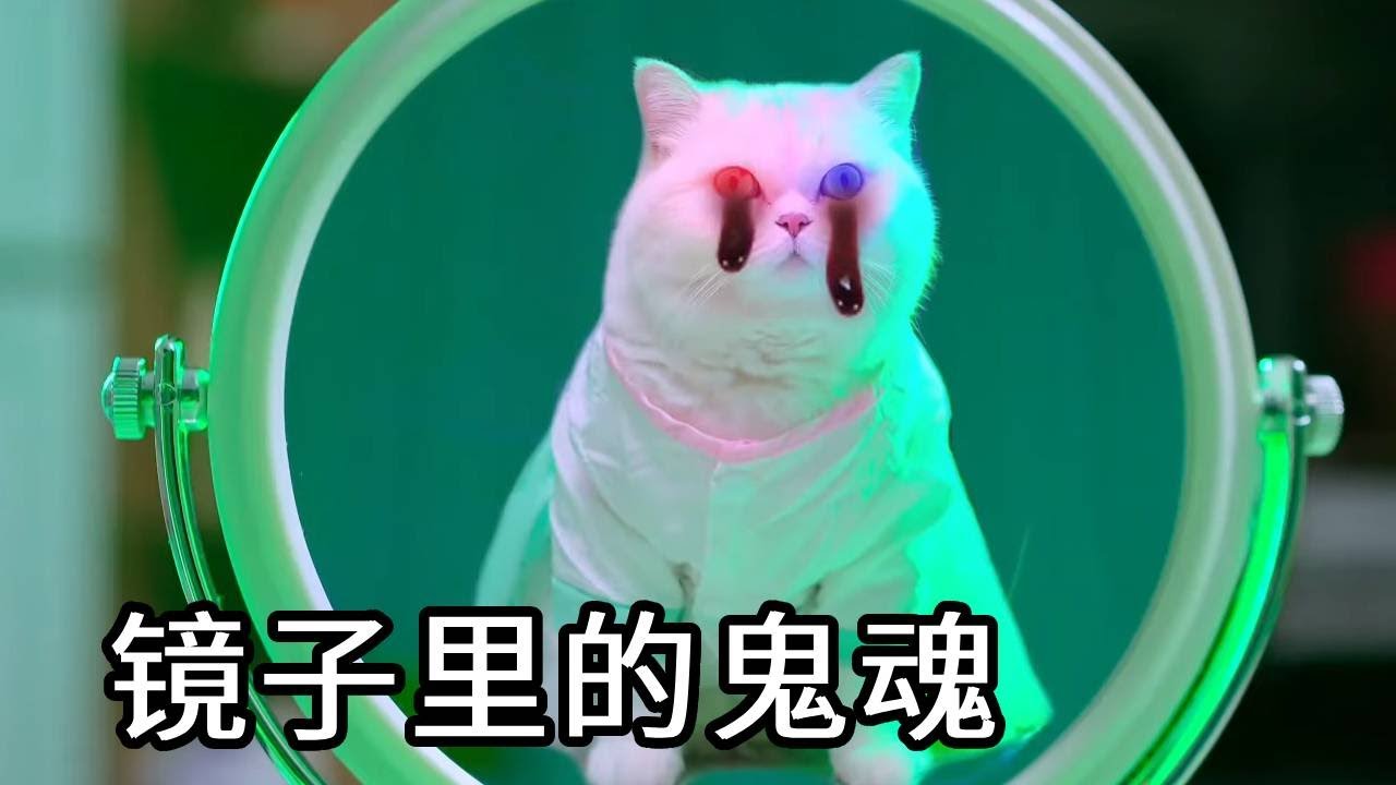 镜子里突然出现一个鬼魂，威胁小圆子帮它找人！原来是想找到前世的主人报恩【七宝小圆子】