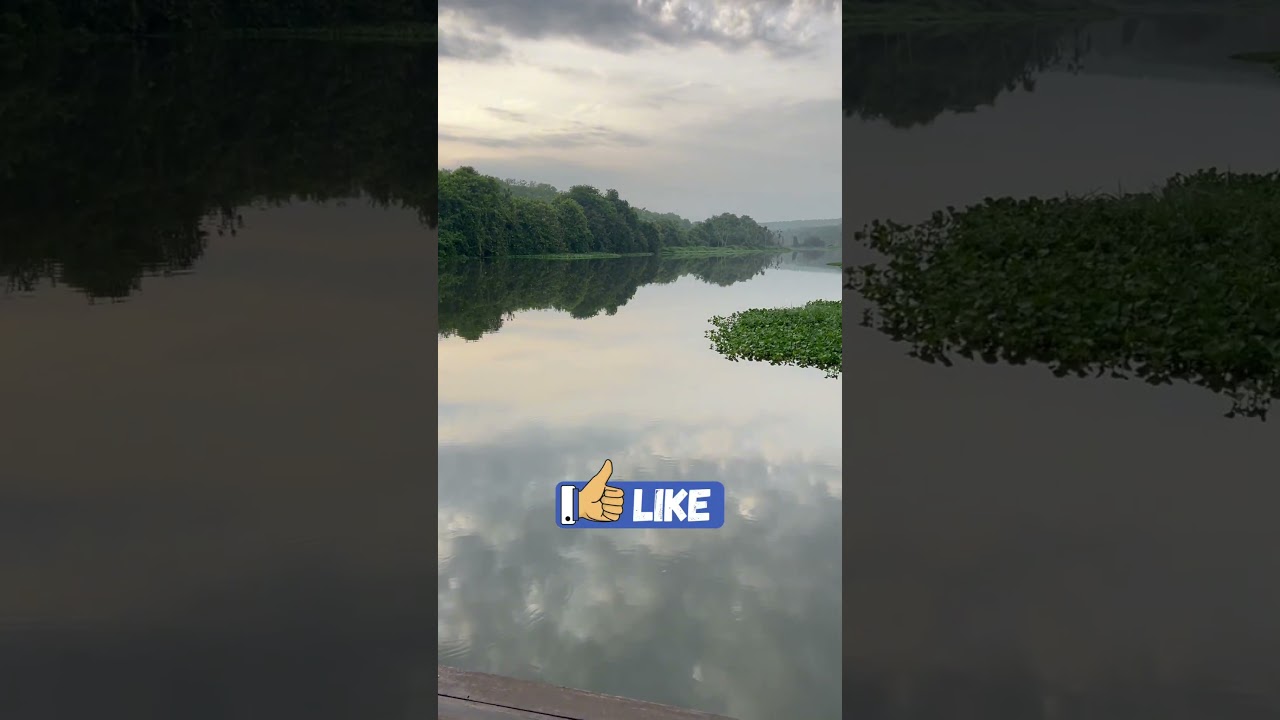 Beleza Natural no Rancho &ndash; Rio e Mata Preservada 🌿💧