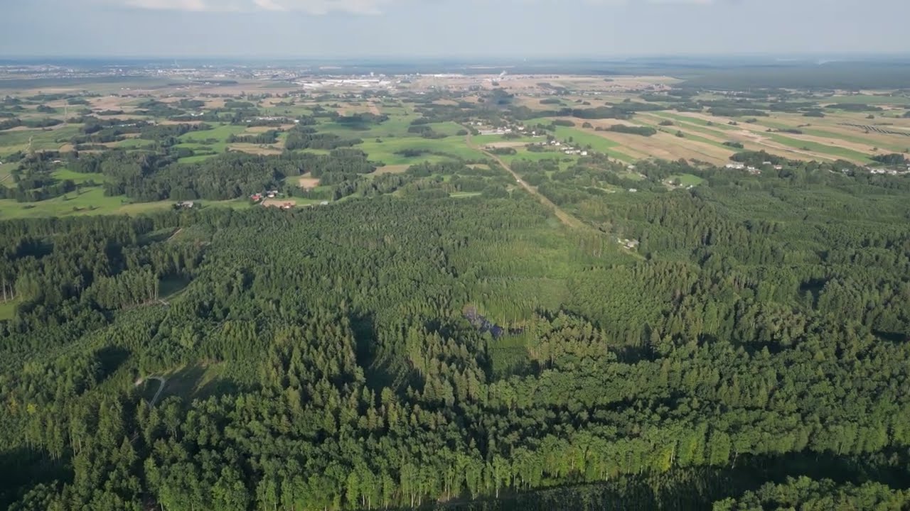 Krukówek w gminie Raczki. 08.2025.