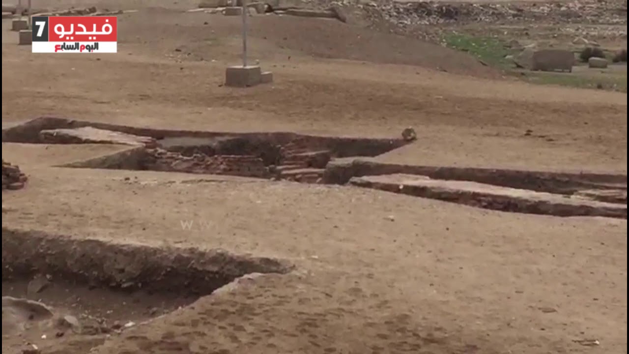 مدير أثار الغربية:نقل العملات الذهبية المكتشفة بصالحجر للمتحف المصرى