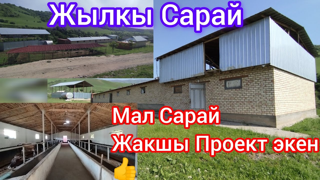 Жылкы жана Мал Сарай  тел:0553222285, 0777198888