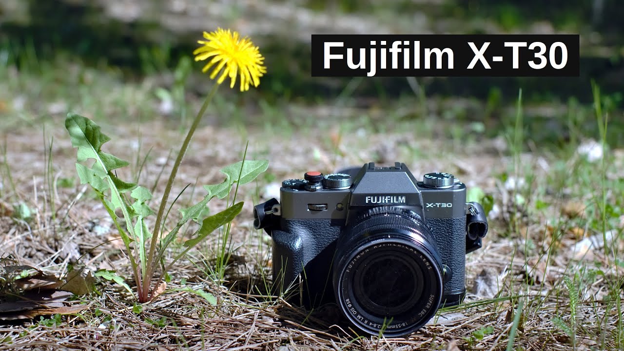 Fujifilm X-T30 ---- my FAVORITE workhorse!