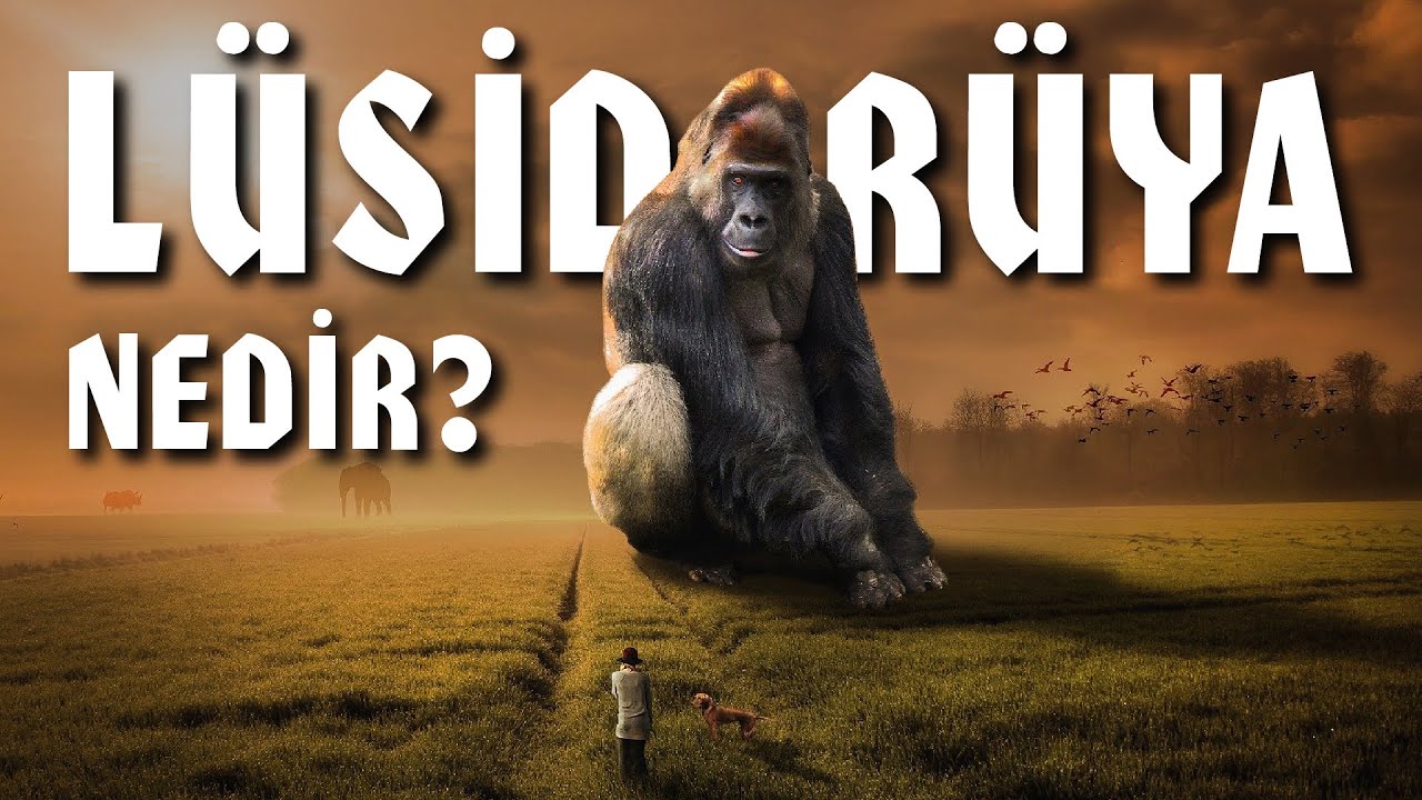 Lüsid rüya nedir? Rüyaları kontrol etmek mümkün mü?