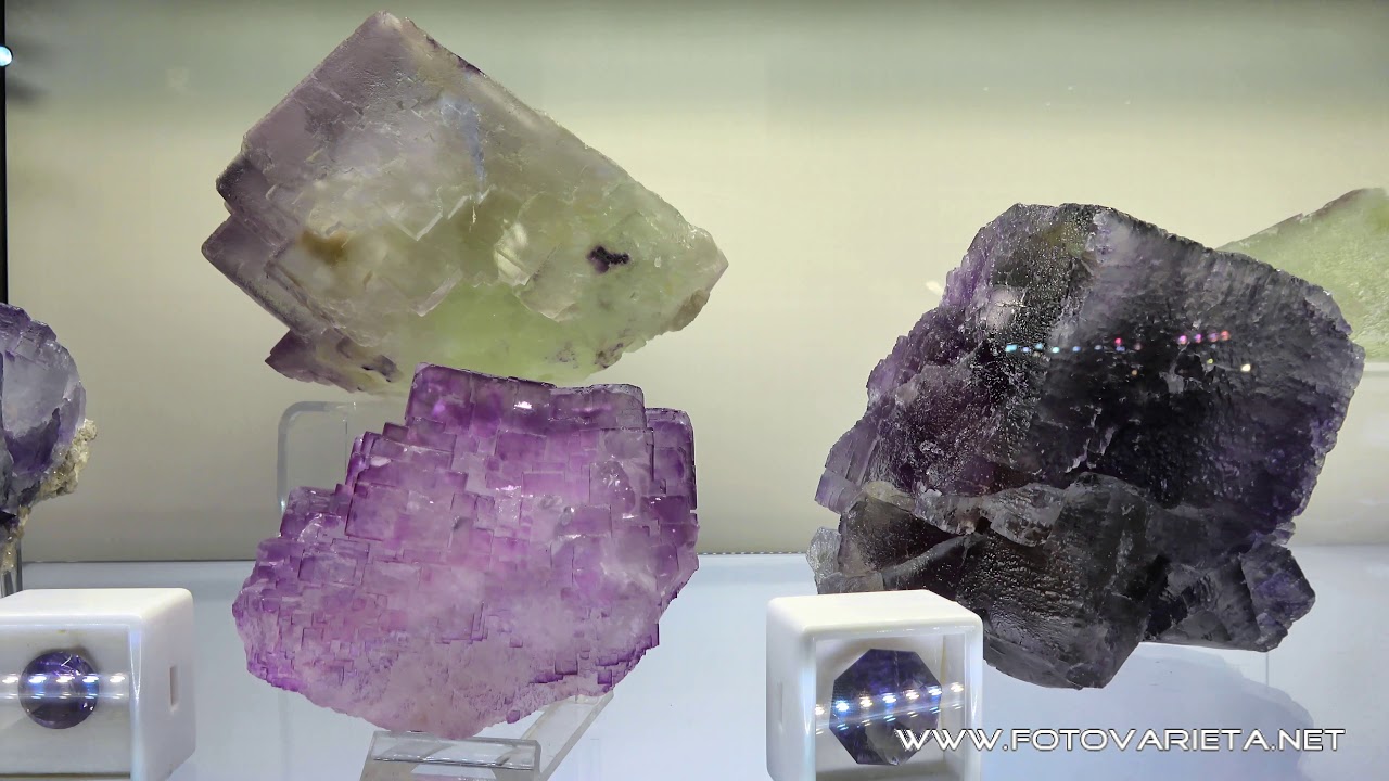 EuroMineralExpo 2017 Torino, International Exhibition of Minerals & Fossils, Minerali e Fossili (7)