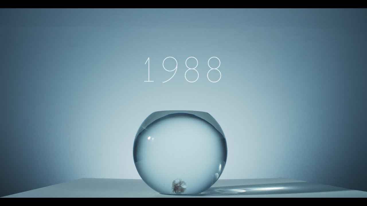 SAKANAMON「1988 feat.たかはしほのか(リーガルリリー)」MV