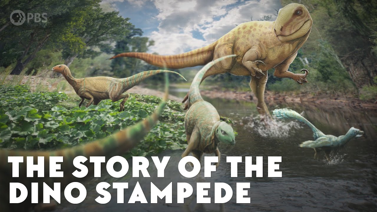 The Story of the Dino Stampede