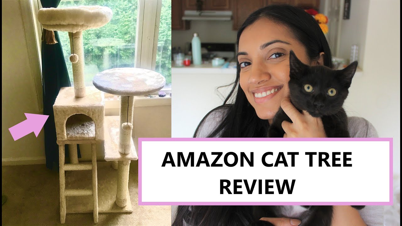 Amazon Basics Cat Tree (52 in) - Review | AmandaSushma