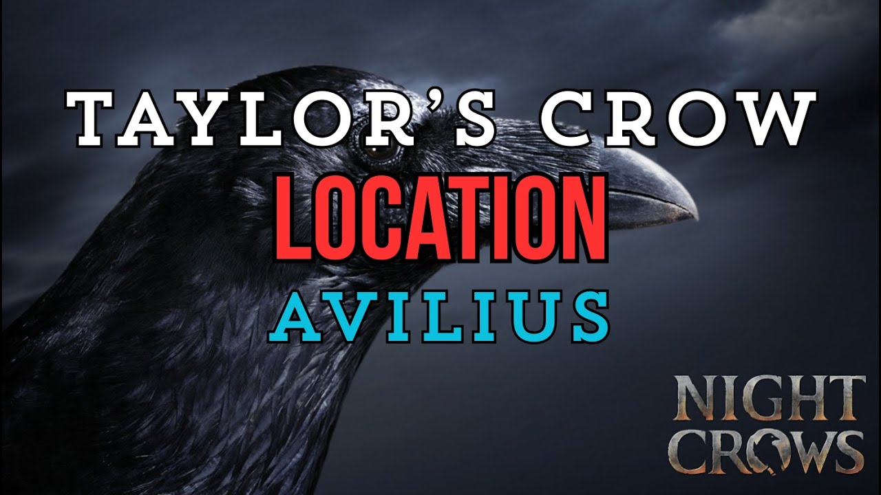 Night Crows Taylor's Crow Location Avilius